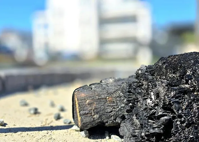 Nad Morzem By Triapart 公寓 詹塔尔